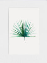 Fan Palm Print
