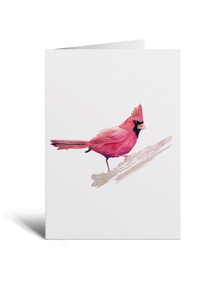5x7 Notecard - Cardinal