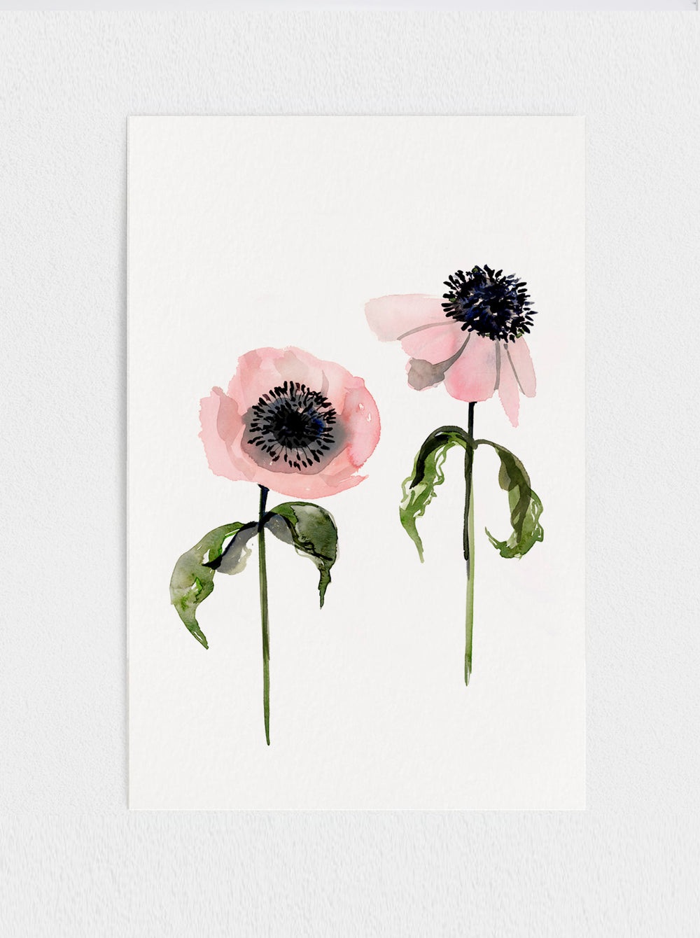 Anemone Print