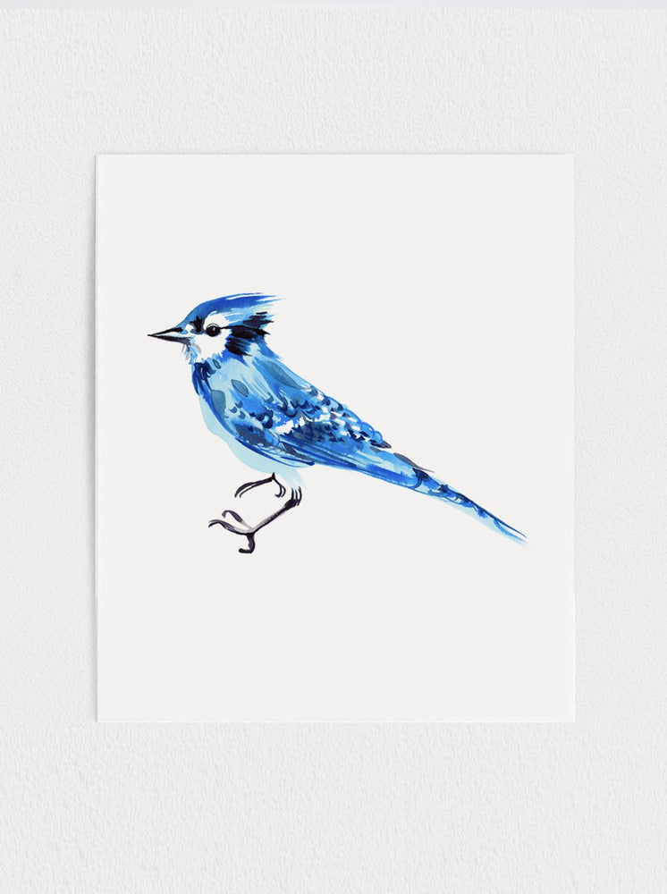 
            
                Load image into Gallery viewer, Bluejay Print
            
        