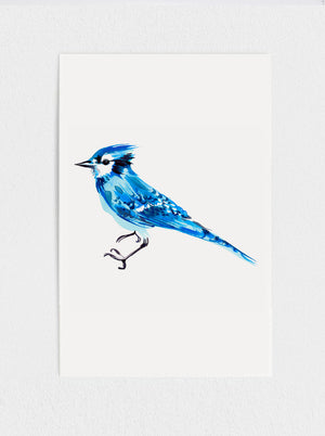 
            
                Load image into Gallery viewer, Bluejay Print
            
        
