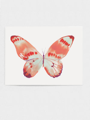 Butterfly No.2