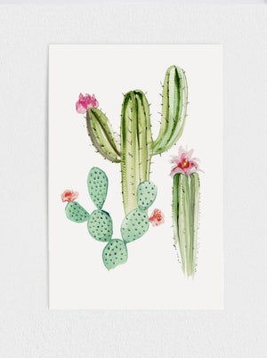 Cacti Print