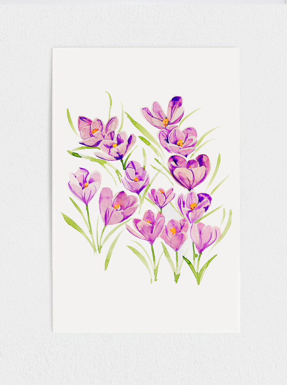 Crocus Print