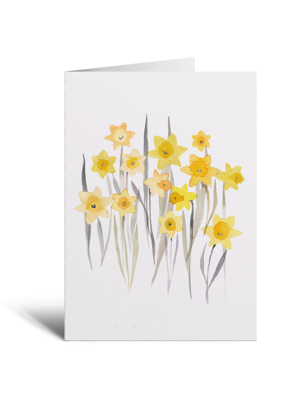 5x7 Notecard - Daffodils