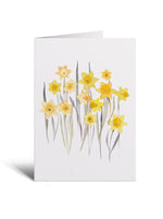 5x7 Notecard - Daffodils