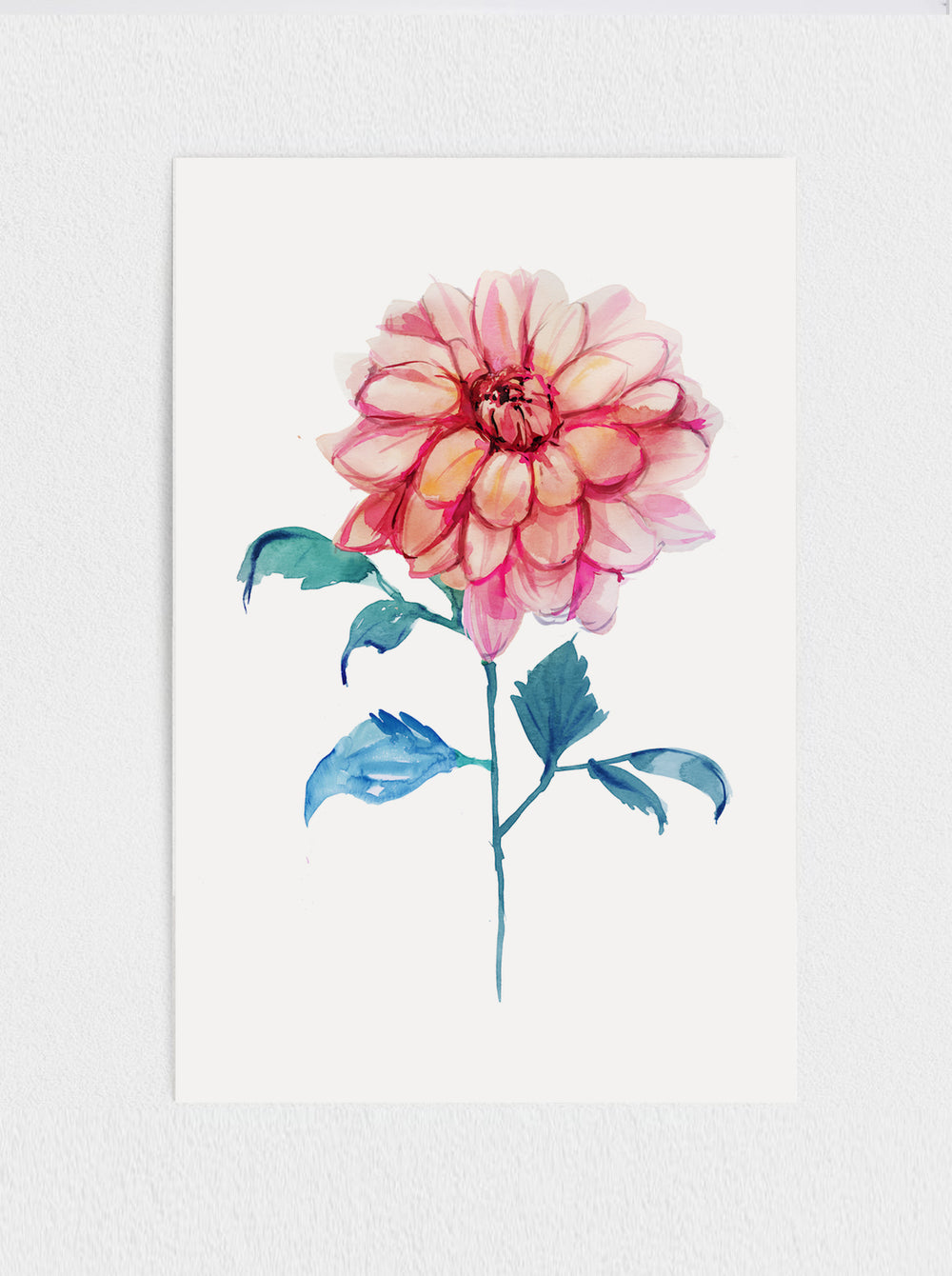 Dahlia Print #2