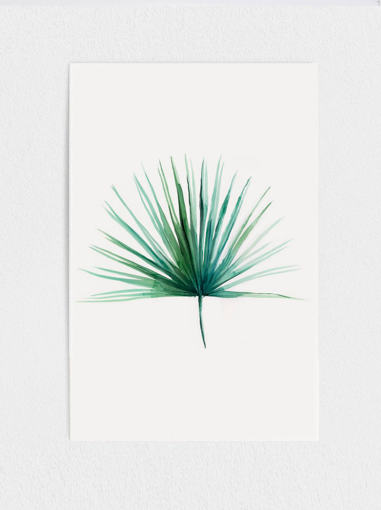 Fan Palm Print