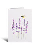 5x7 Notecard - Honey Lavender