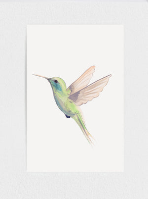 
            
                Load image into Gallery viewer, Hummingbird Print
            
        