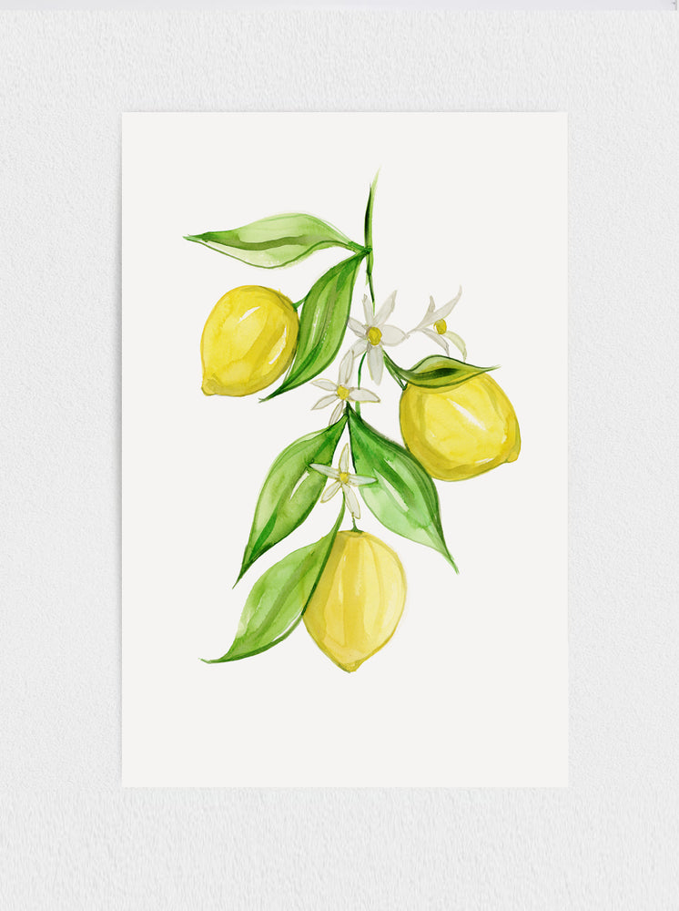 Lemon Blossom Print