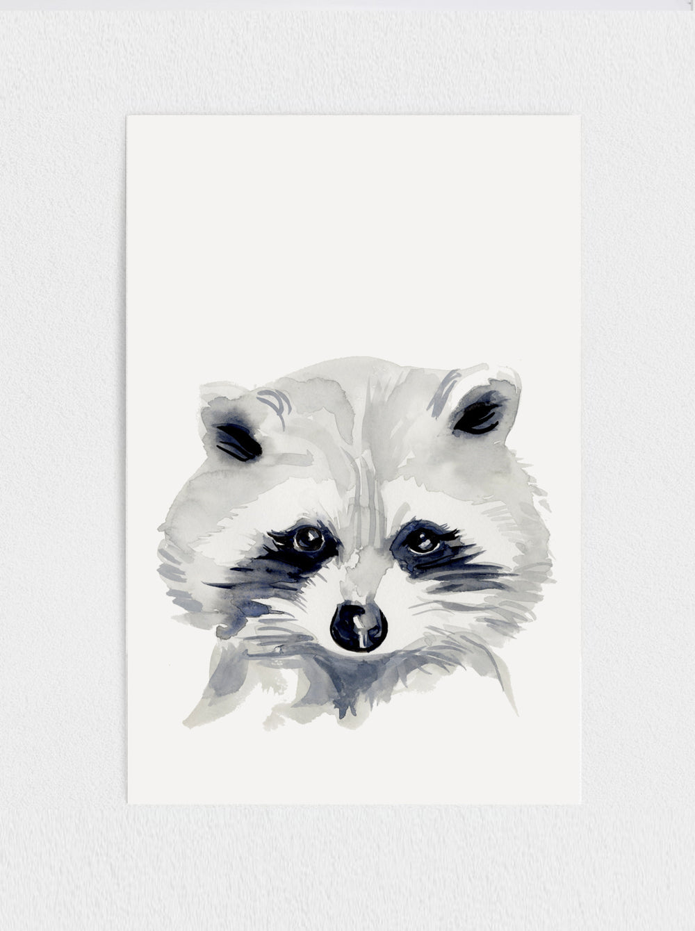 Raccoon Print