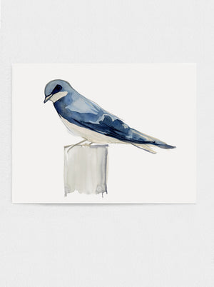
            
                Load image into Gallery viewer, Swallow No.2
            
        