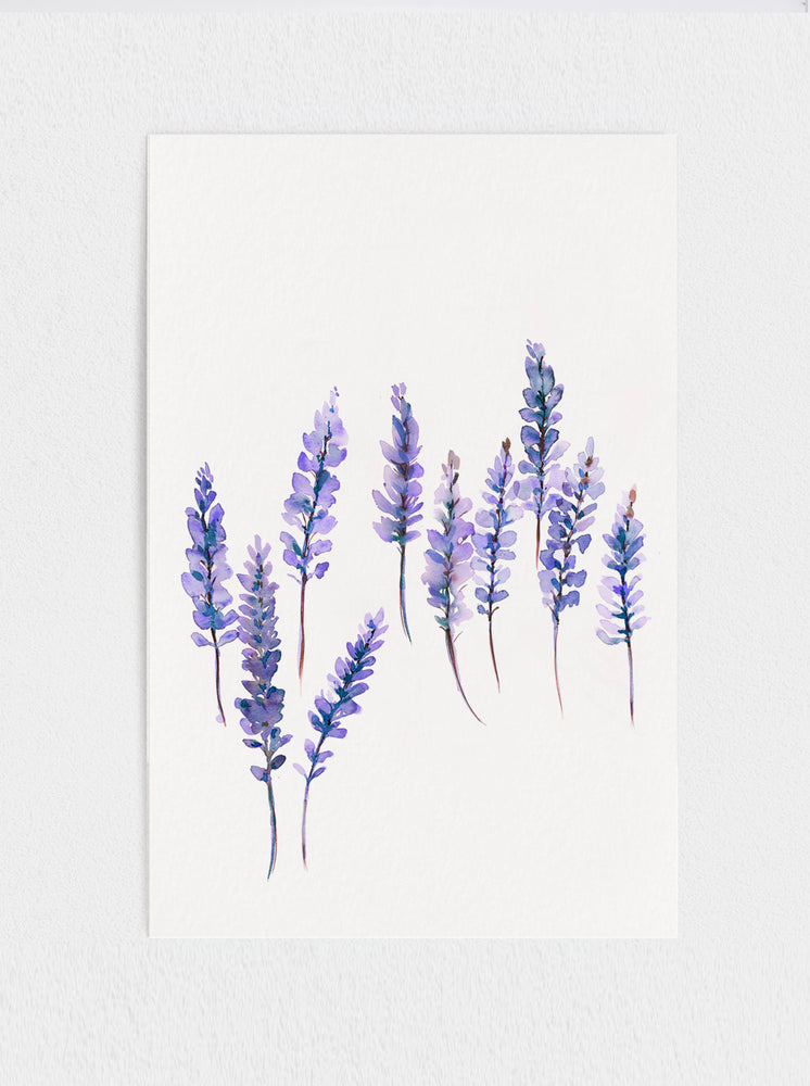 Sweet Lilac Print