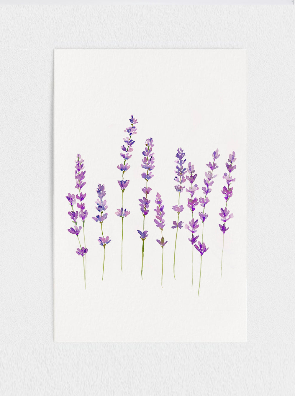 Wild Lavender Print