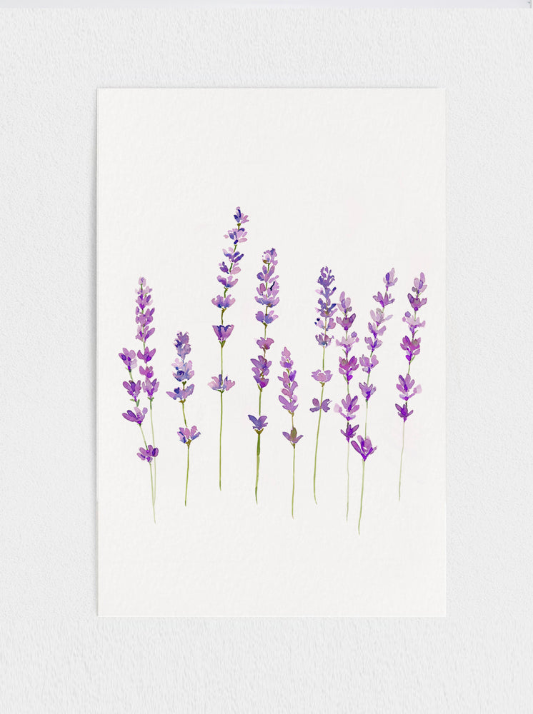 Wild Lavender Print