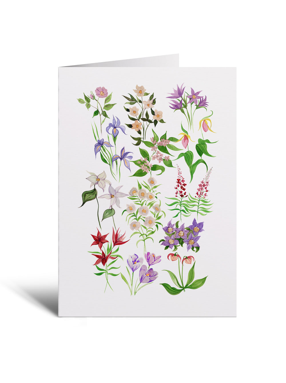 5x7 Notecard - Wildflower