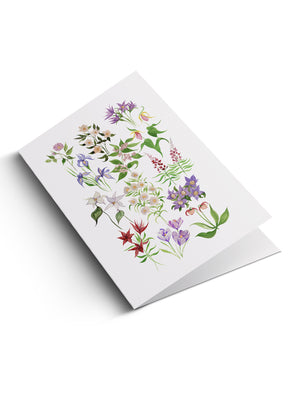 5x7 Notecard - Wildflower