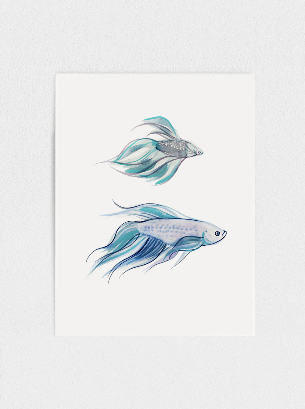 Siamese Fighting Fish No.1