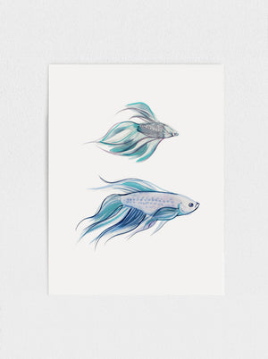 
            
                Load image into Gallery viewer, Siamese Fighting Fish No.1
            
        