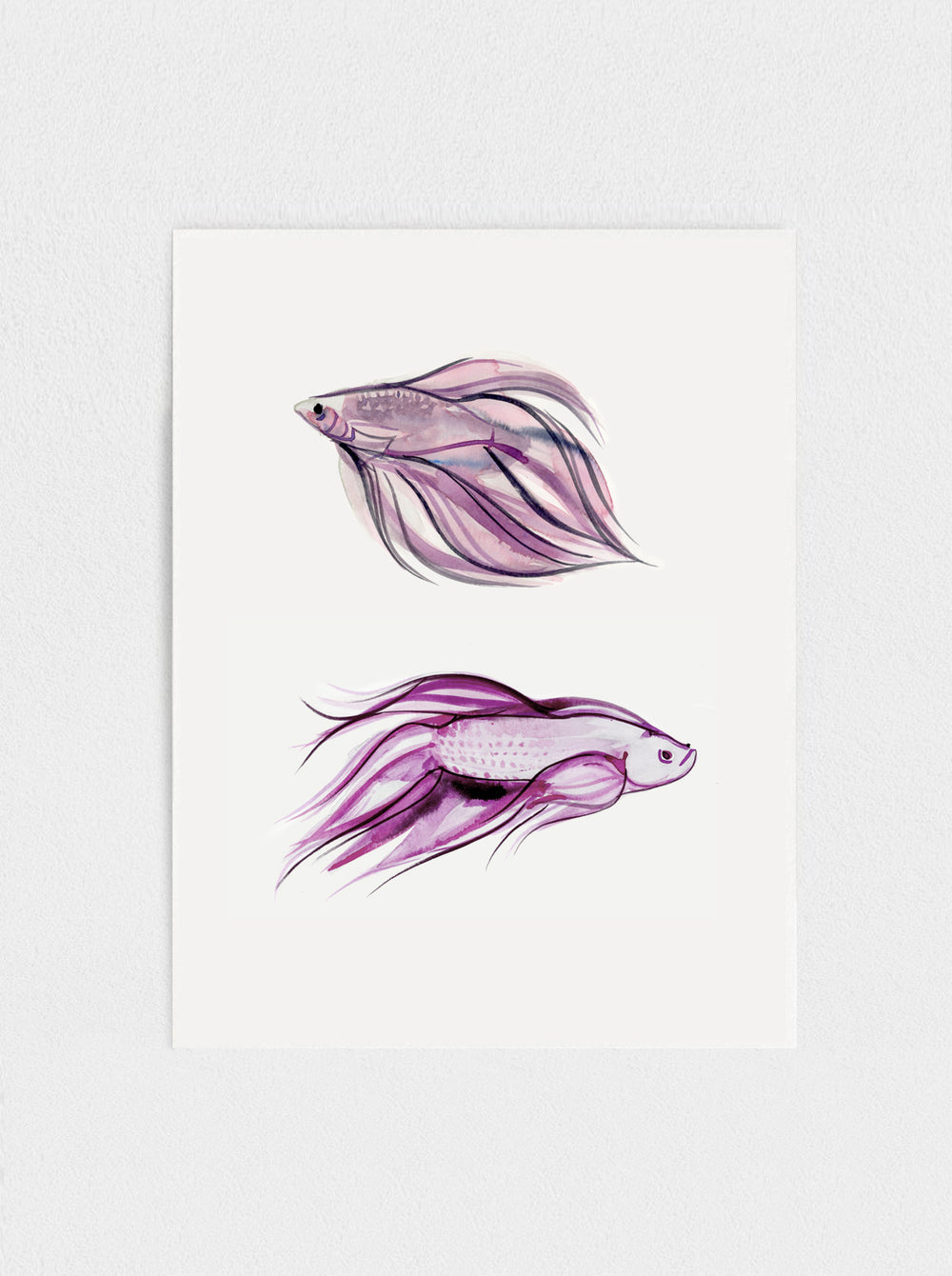 Siamese Fighting Fish No.3