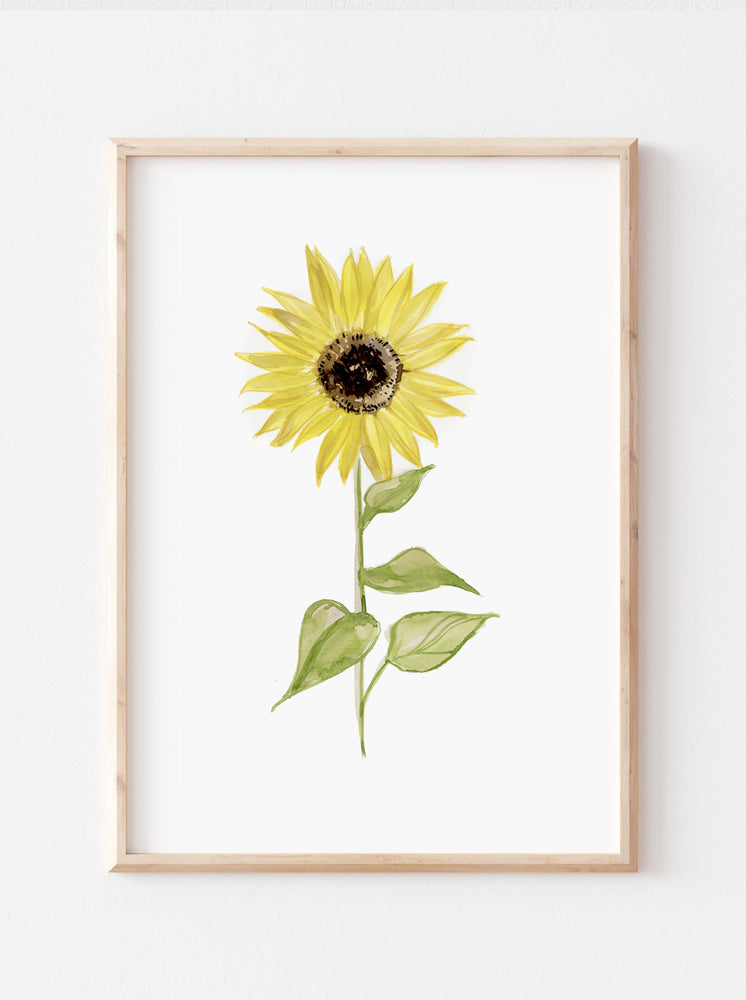 Sunflower No.1