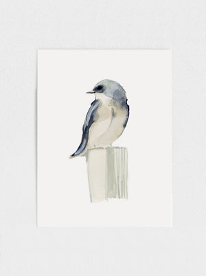 
            
                Load image into Gallery viewer, Swallow No.1
            
        