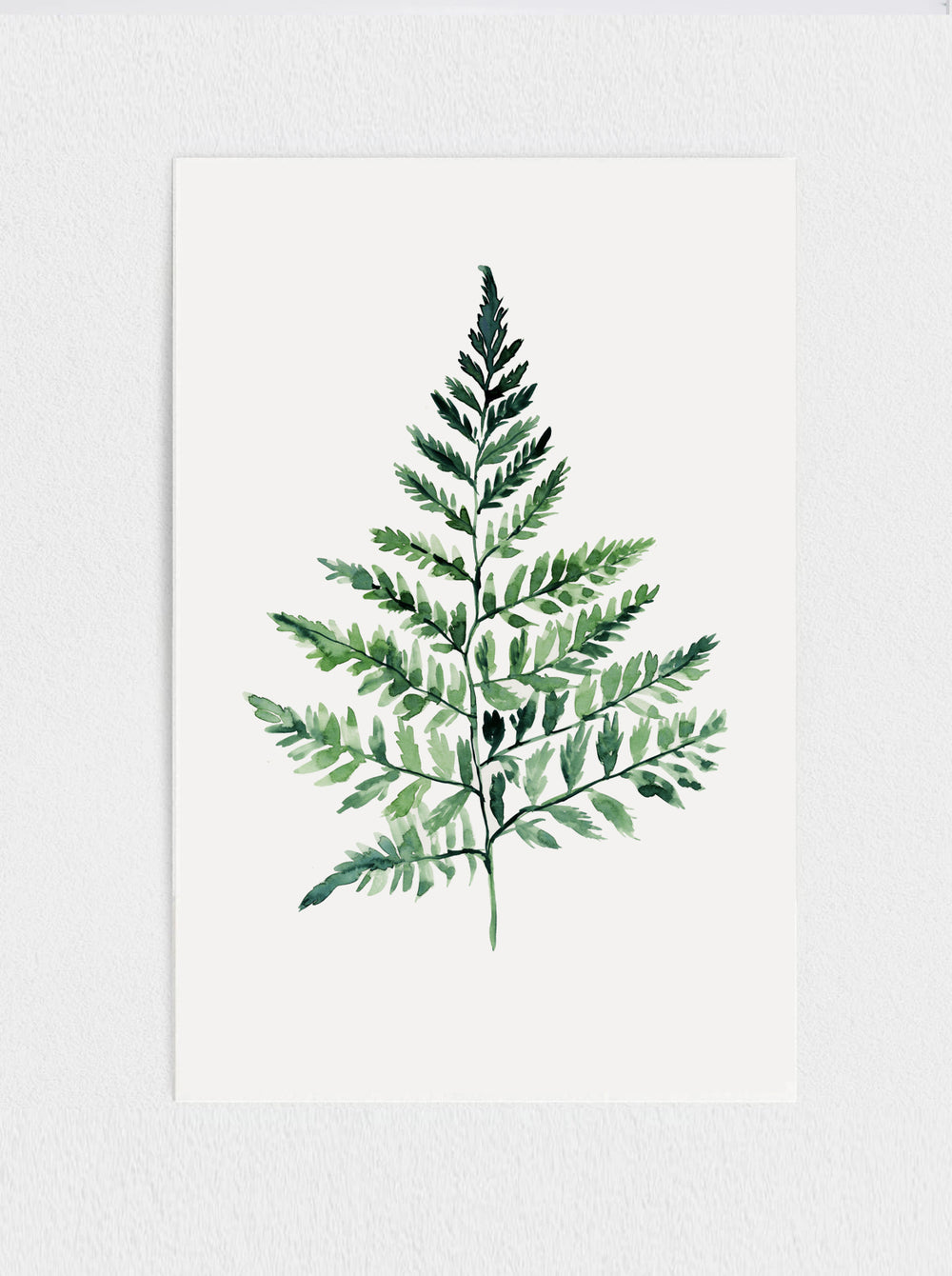 Fern Print